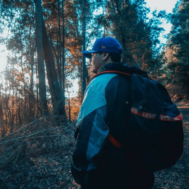 Descripción de la imagen